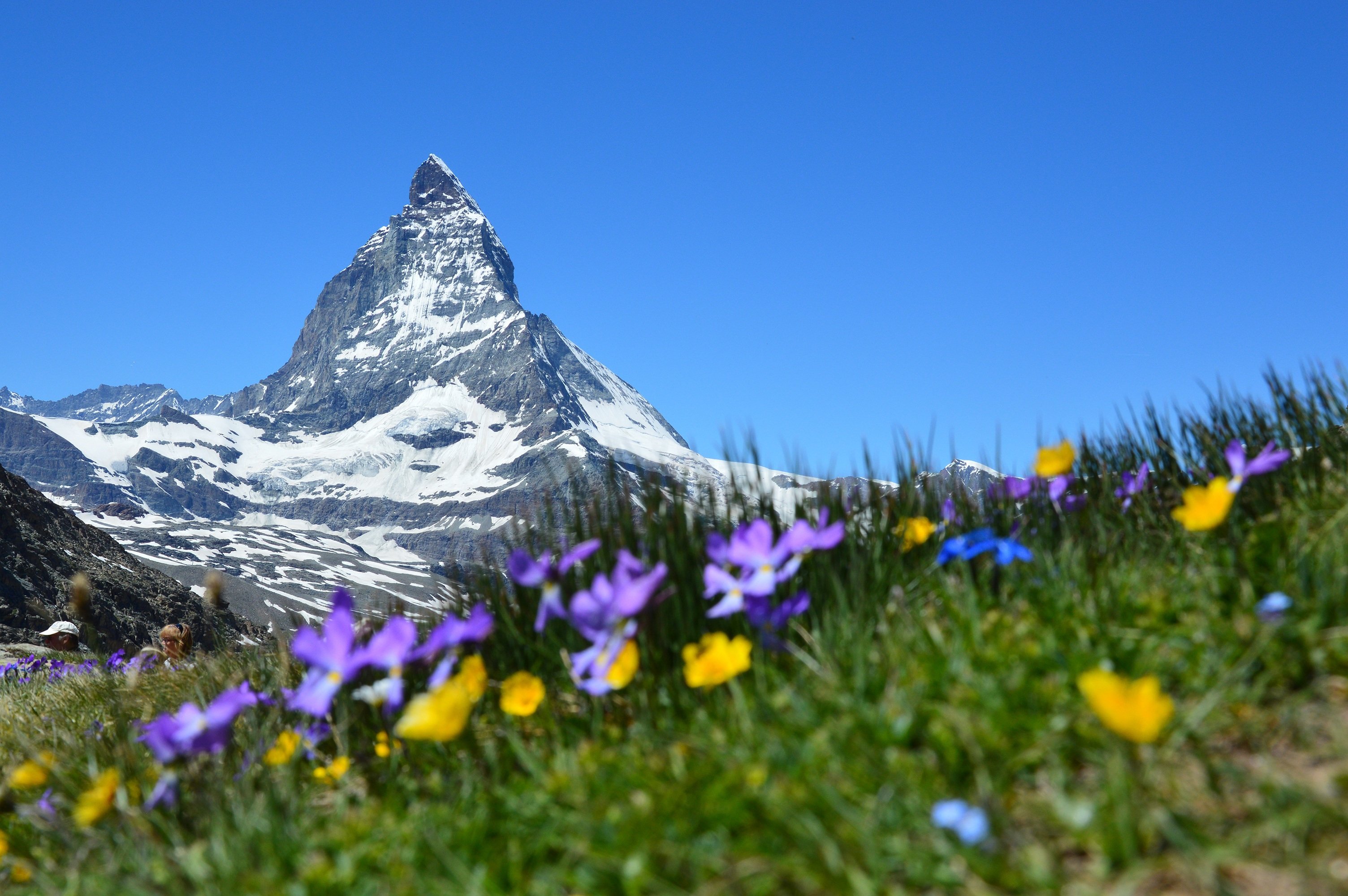 Swiss Alps panorama
